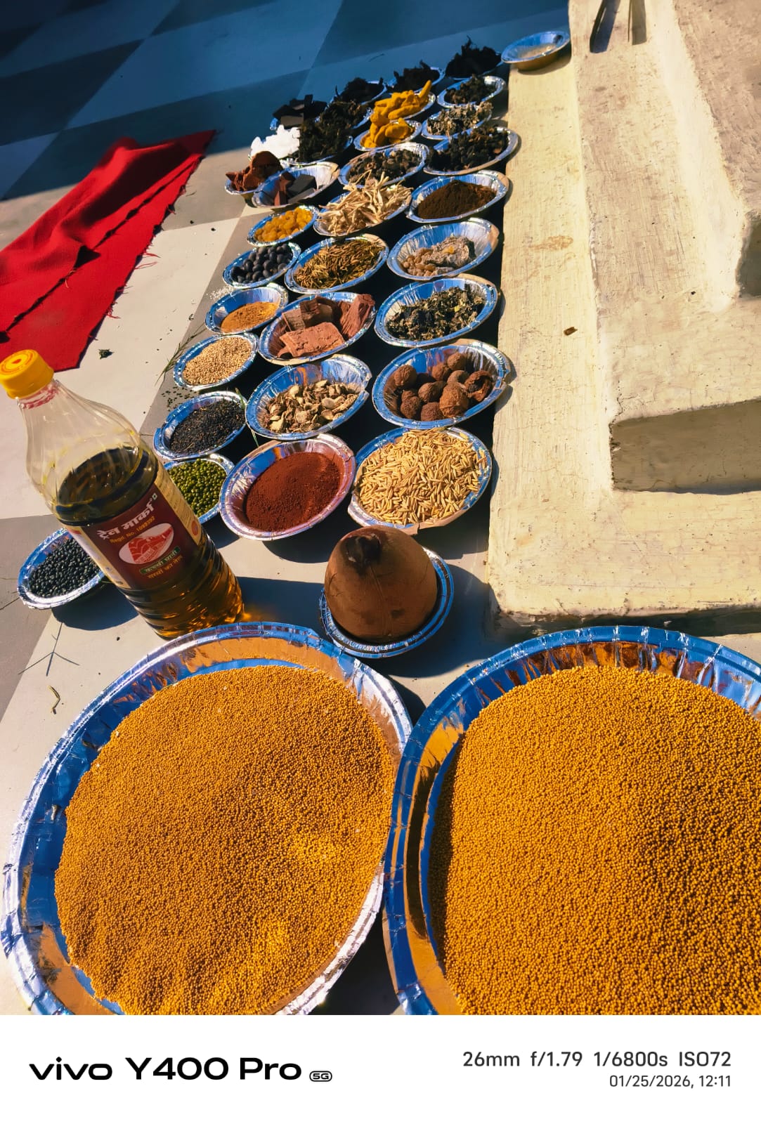 Bagla Mukhi Pooja