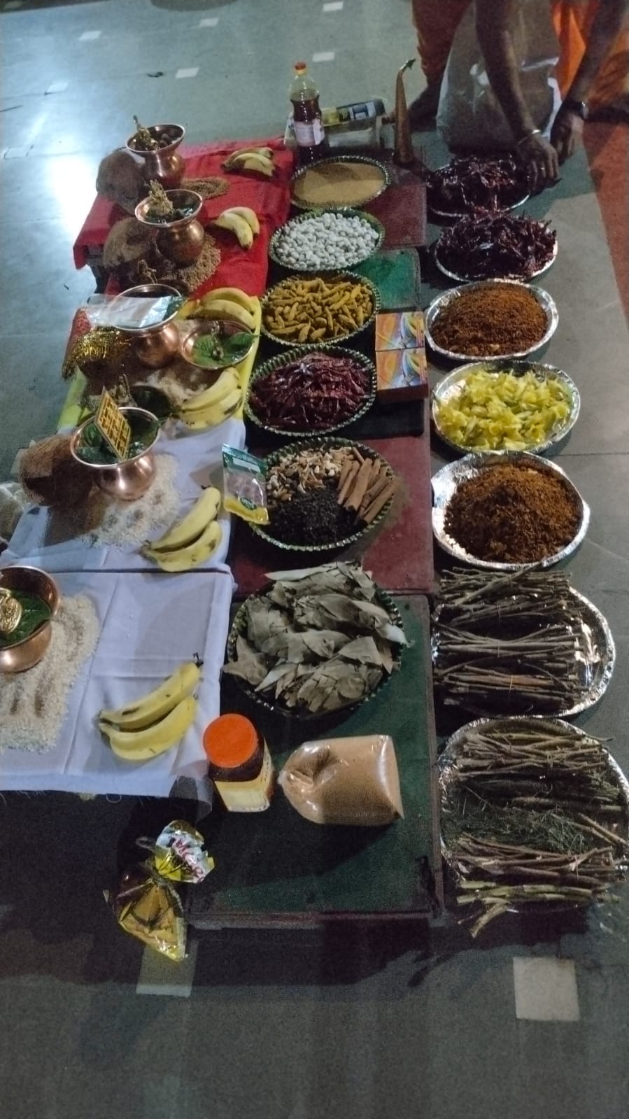 बगलामुखी वैदिक हवन